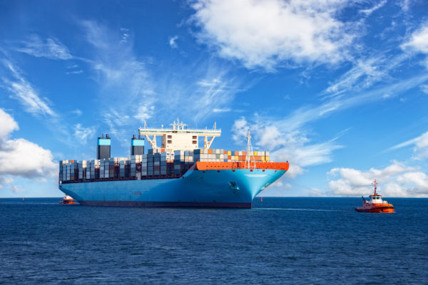 container liner agency