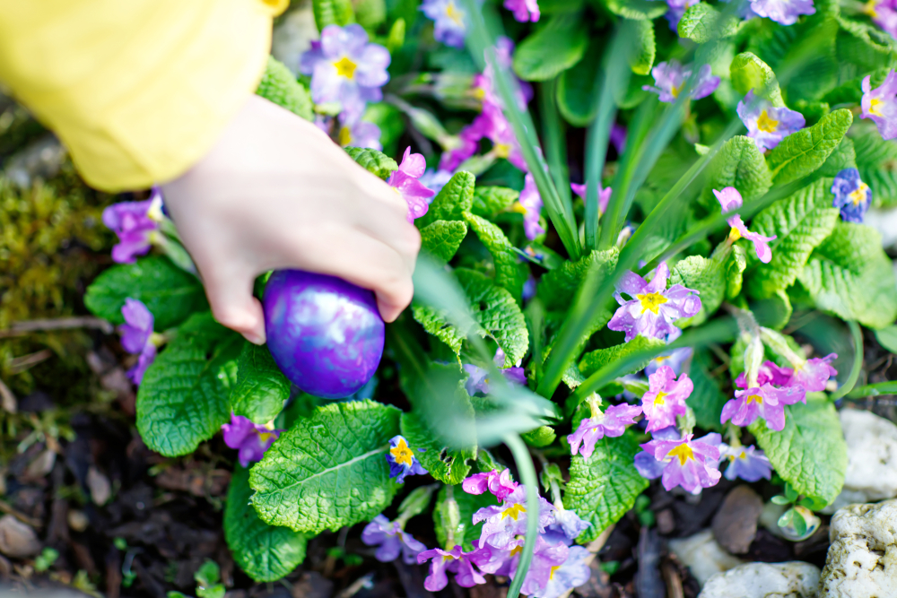 easter celebrations, australia, traditions, australia easter, egg hunt australia