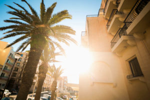 sun in malta shining between palm trees and buildings