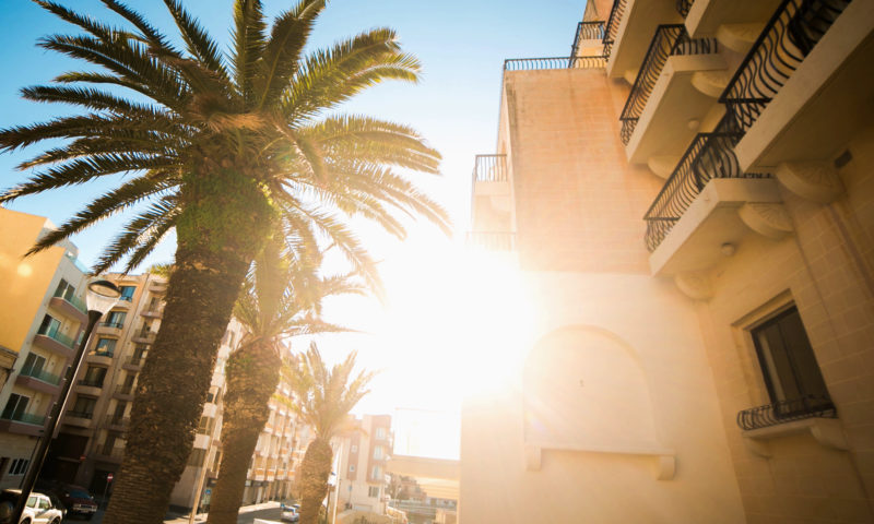 sun in malta shining between palm trees and buildings