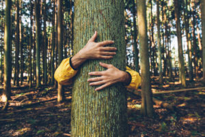 person hugging a tree bark