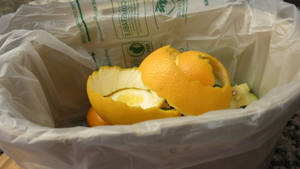 orange peels in an organic garbage bag