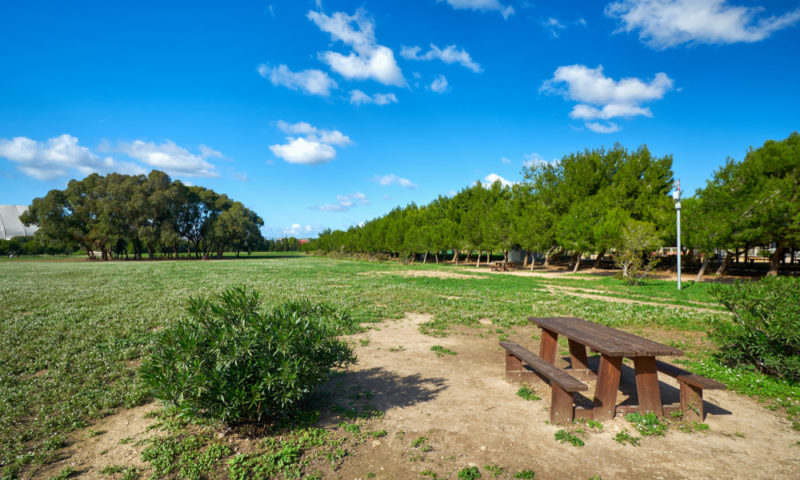 ta qali countryside