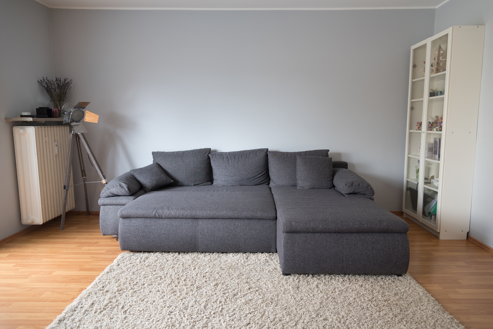 home purchase sofa bed