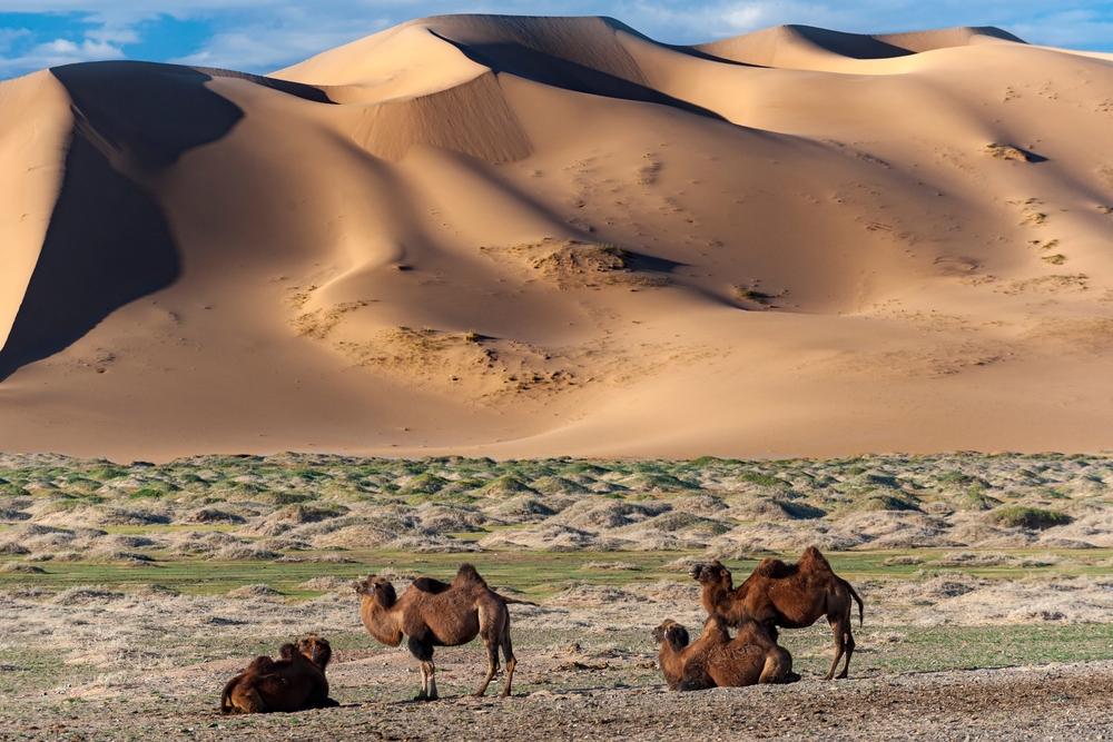 gobi desert mongolia